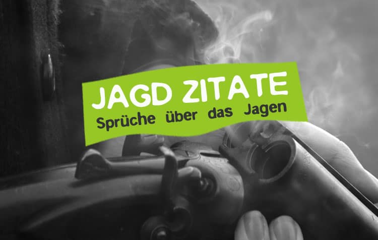 Jagd Zitate Sammlung