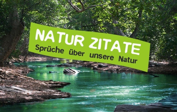 Natur Zitate und Sprüche unsere Welt