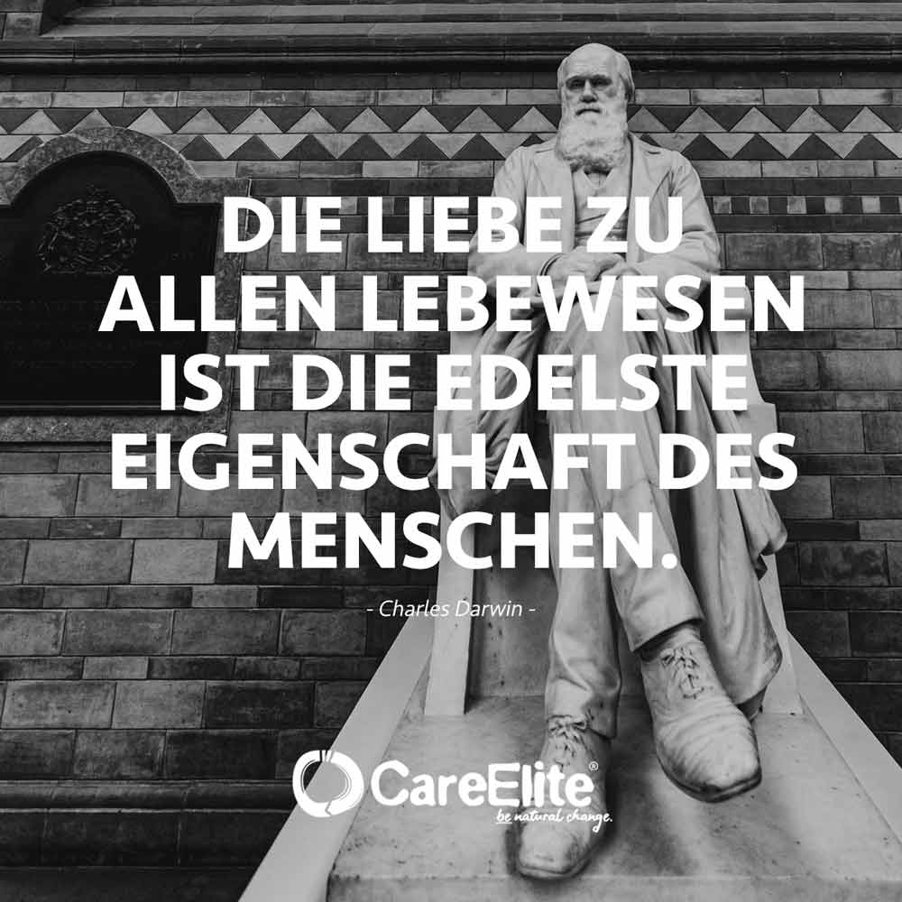 Liebe zu allen Lebewesen Eigenschaft Zitat Darwin