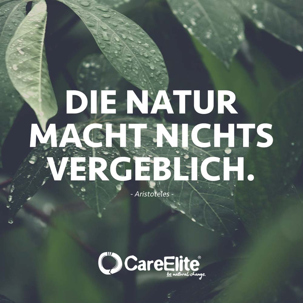 Die Natur macht nichts vergeblich Aristoteles Zitat