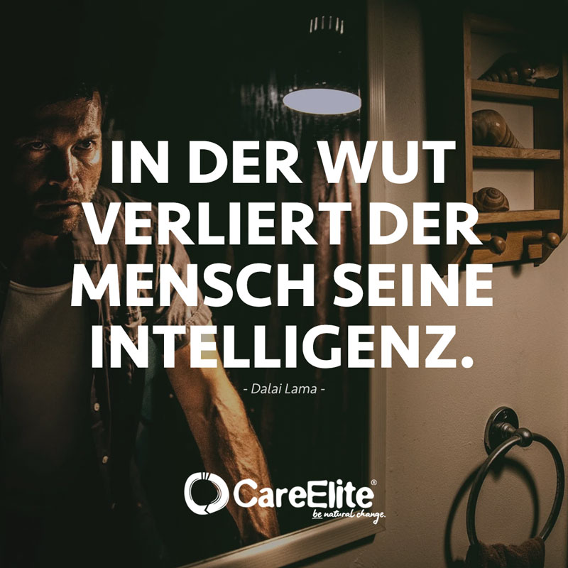 "In der Wut verliert der Mensch seine Intelligenz." (Zitat des Dalai Lama)