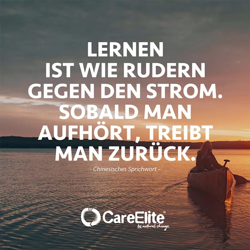 "Lernen ist wie Rudern gegen den Strom. Sobald man aufhört, treibt man zurück." (Chinesisches Sprichwort)