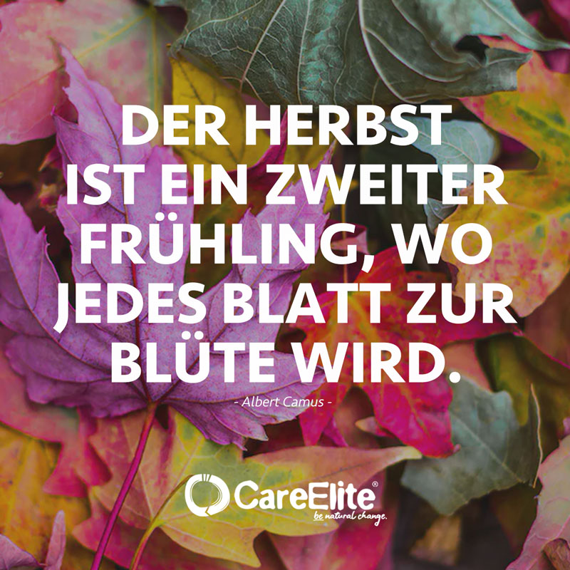 "Der Herbst ist ein zweiter Frühling, wo jedes Blatt zur Blüte wird.“ (Zitat von Albert Camus)