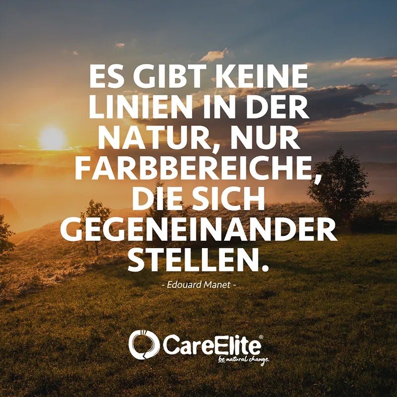 Es gibt keine Linien in der Natur, nur Farbbereiche, die sich gegeneinander stellen. (Zitat von Edouard Manet)