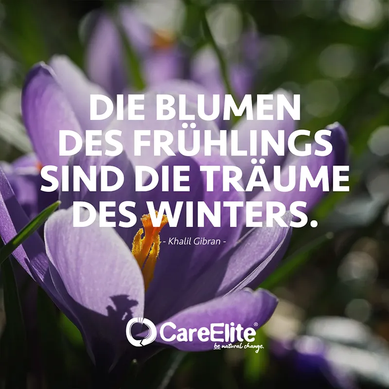 "Die Blumen des Frühlings sind die Träume des Winters." (Khalil Gibran)