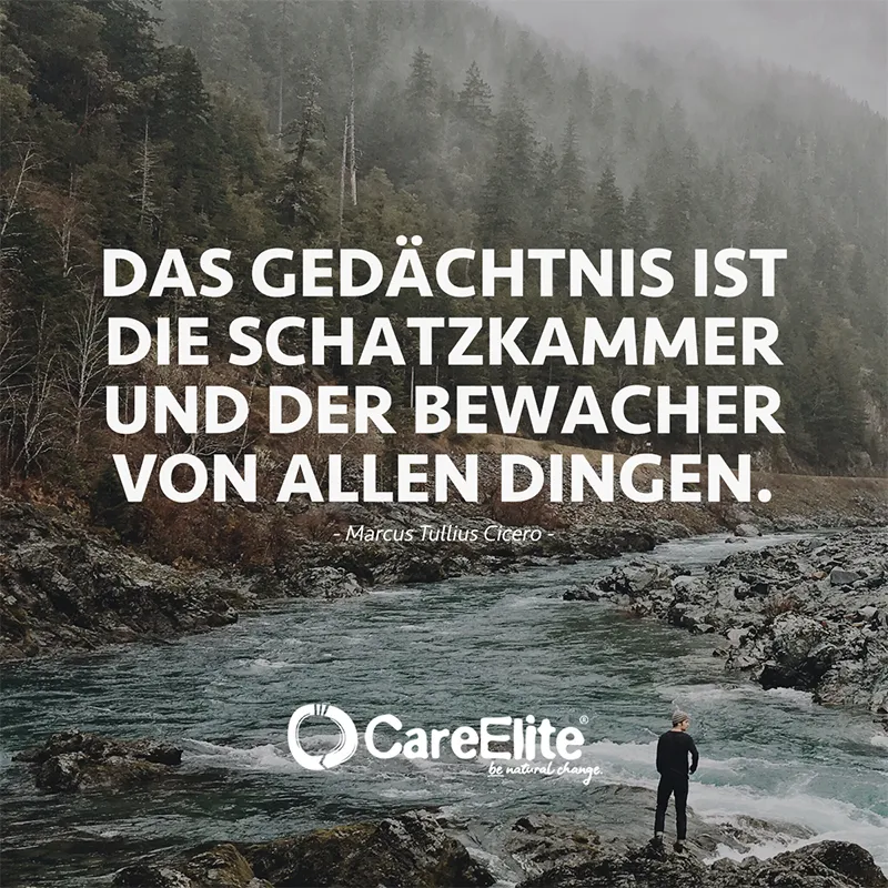 "Das Gedächtnis ist die Schatzkammer und der Bewacher von allen Dingen." (Zitat von Marcus Tullius Cicero)