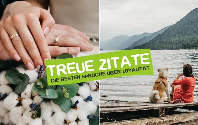 Treue Zitate – Die besten Sprüche über Loyalität, Vertrauen und Verrat