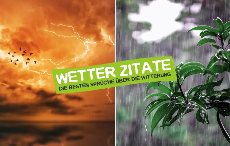 Wetter Zitate – Die besten Zitate über die Witterung und Wetterverhältnisse