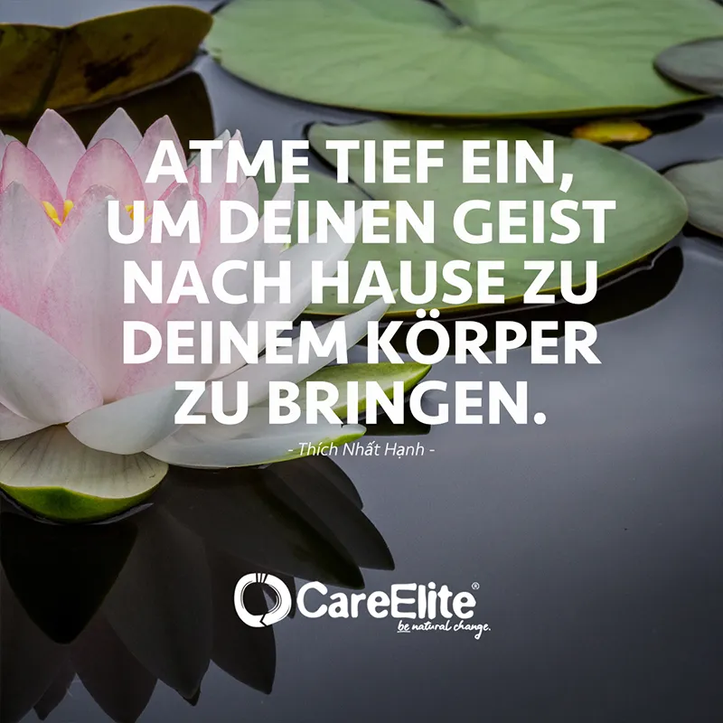 "Atme tief ein, um deinen Geist nach Hause zu deinem Körper zu bringen." (Zitat von Thích Nhất Hạnh)