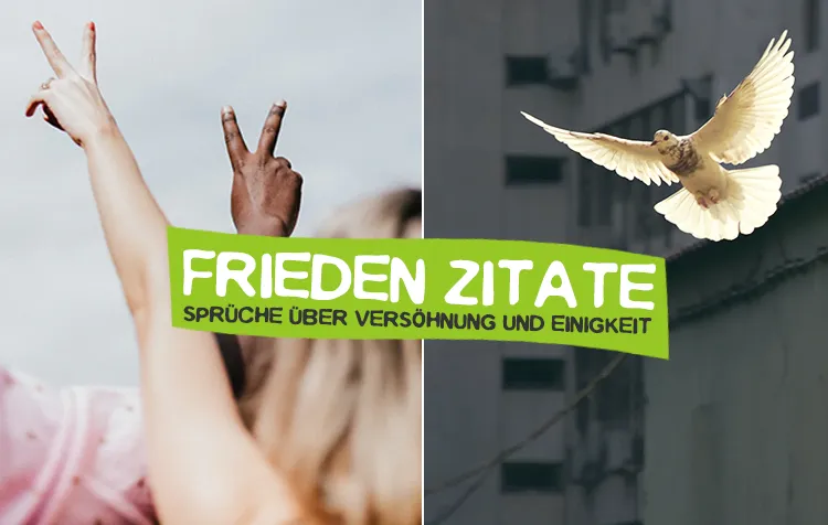 Frieden Zitate – 50 Sprüche über Versöhnung, Einigkeit und ein friedliches Miteinander