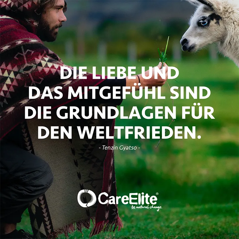 "Die Liebe und das Mitgefühl sind die Grundlagen für den Weltfrieden." (Dalai Lama)