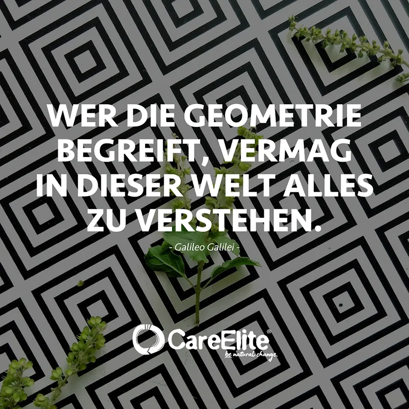 "Wer die Geometrie begreift, vermag in dieser Welt alles zu verstehen." (Galileo Galilei)