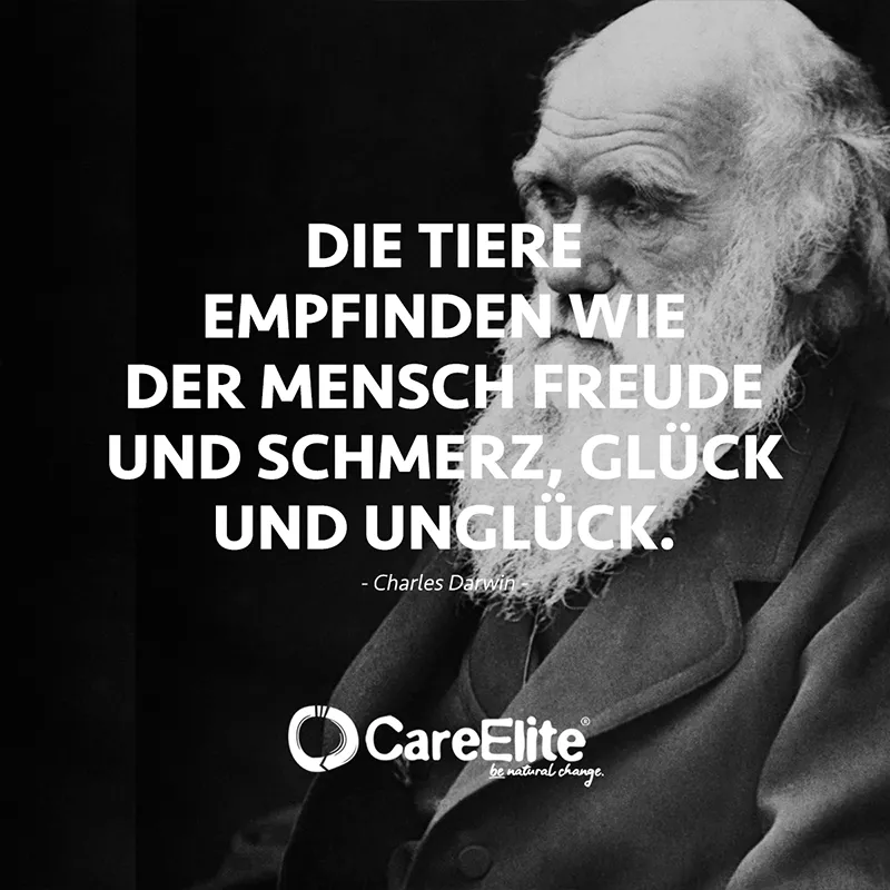 "Die Tiere empfinden wie der Mensch Freude und Schmerz, Glück und Unglück." (Charles Darwin)