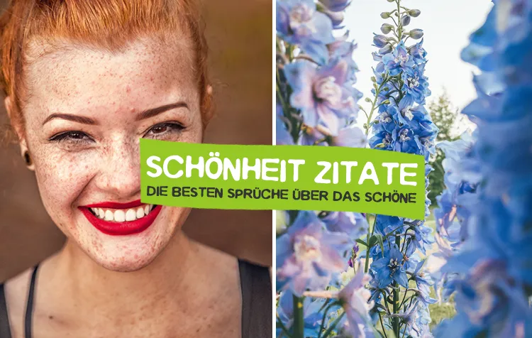 Schönheit Zitate – Die besten Sprüche über Attraktivität, Anmut und das Schöne