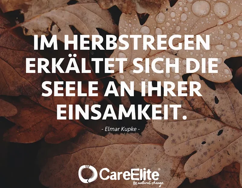 "Im Herbstregen erkältet sich die Seele an ihrer Einsamkeit." (Elmar Kupke)