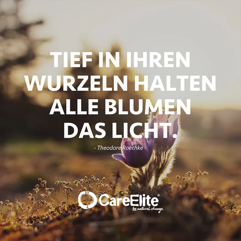 "Tief in ihren Wurzeln halten alle Blumen das Licht." (Theodore Roethke)